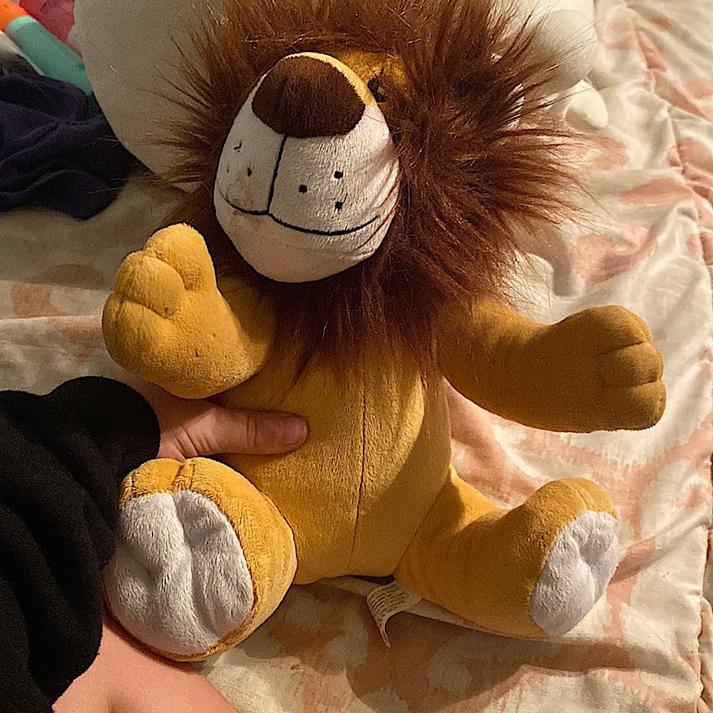 A lions stuffed animal